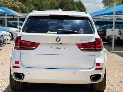 Picture of 18.6' Falcon ASX on Trailer 2024